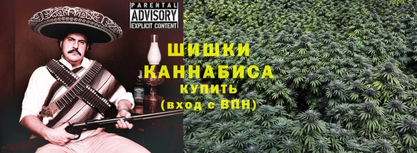 прущие грибы Михайловка