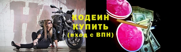 прущие грибы Михайловка