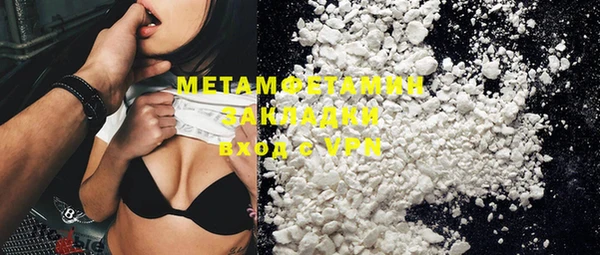 прущие грибы Михайловка