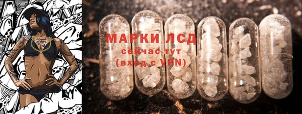 прущие грибы Михайловка