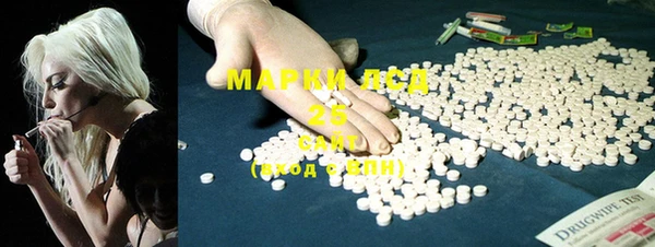 прущие грибы Михайловка