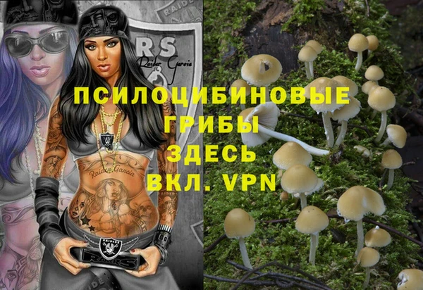 прущие грибы Михайловка