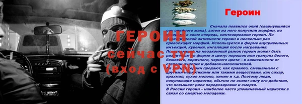 прущие грибы Михайловка