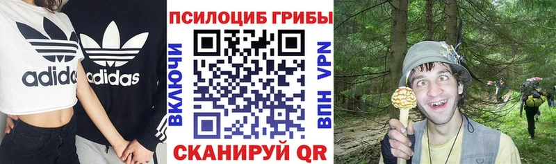 хочу наркоту  Агидель  Псилоцибиновые грибы MAGIC MUSHROOMS 