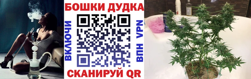 цена   Агидель  МАРИХУАНА индика 